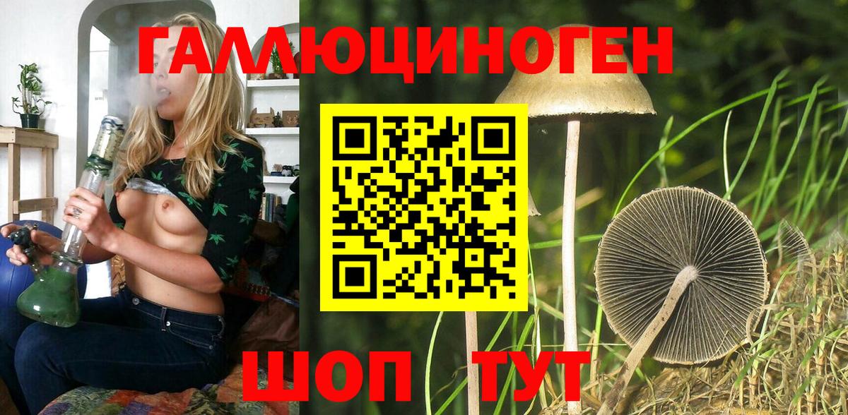 купить  цена  Галлюциногенные грибы Cubensis  Кропоткин  Вход с VPN  Галлюциногенные грибы мицелий 